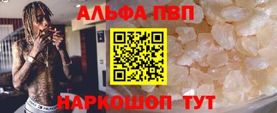 дмт Бердск