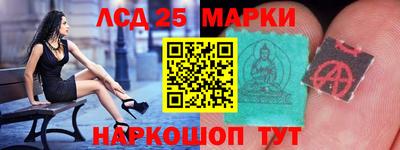 дмт Бердск