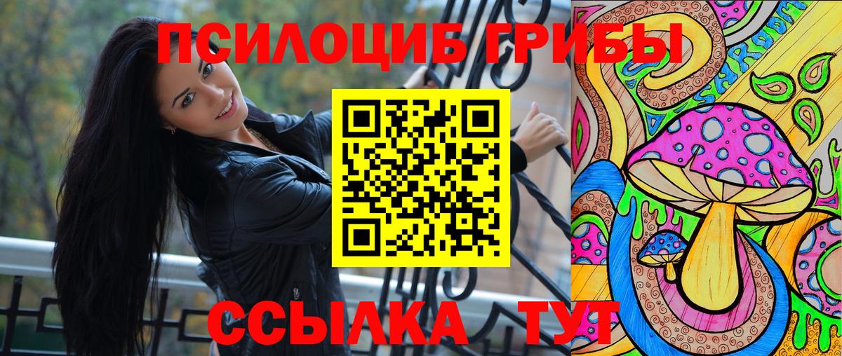 Боровичи  Галлюциногенные грибы GOLDEN TEACHER  Вход с VPN 