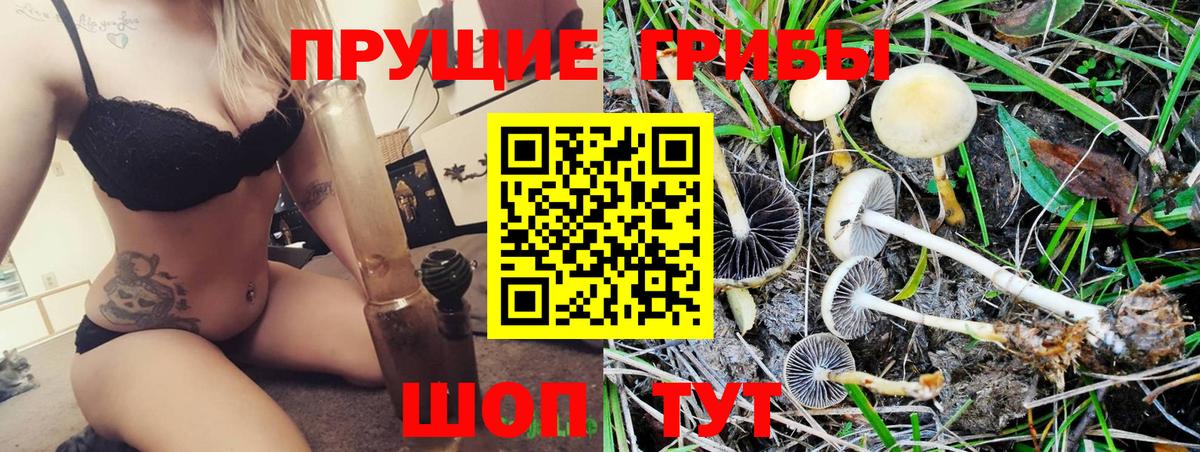 Галлюциногенные грибы ЛСД Боровичи