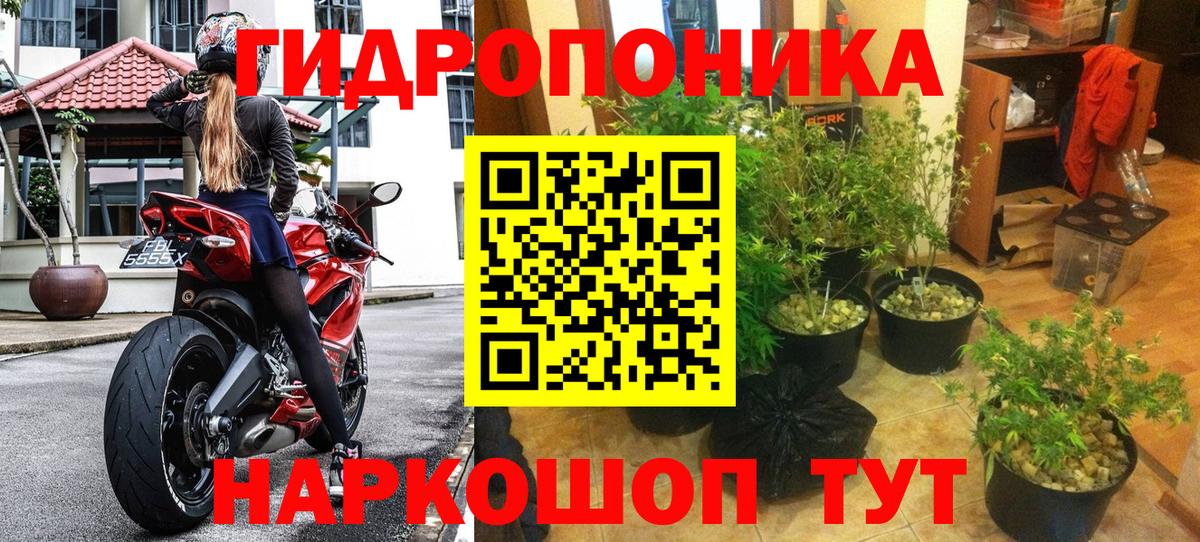 Бошки марихуана сатива  Вход с VPN  Конопля MAZAR  Конопля Amnesia  Канабис THC 21%  Боровичи 
